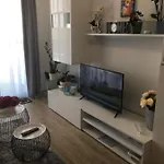 Silverlux شيوفوك